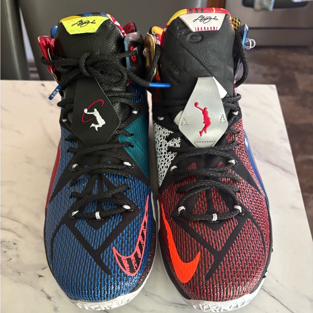 LeBron XII “What The” from 2015